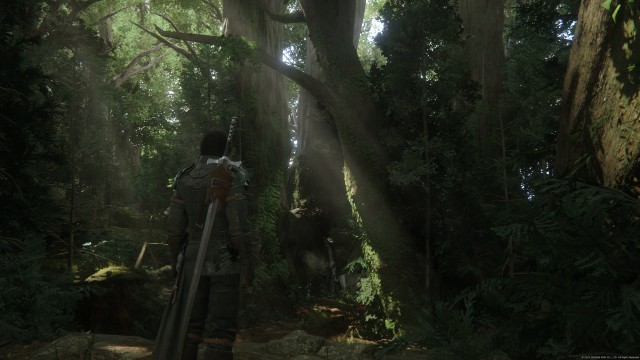 Screenshot: Wälder haben in Videospielen selten so lauschig ausgesehen wie hier in Rosaria
