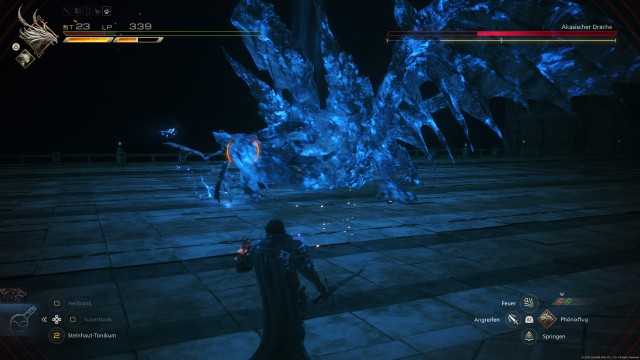 Screenshot: Bosskampf gegen einen Drachen haben mir besonders viele Probleme bereitete, weil sie fliegend mit dem Schwert nicht erreichbar sind