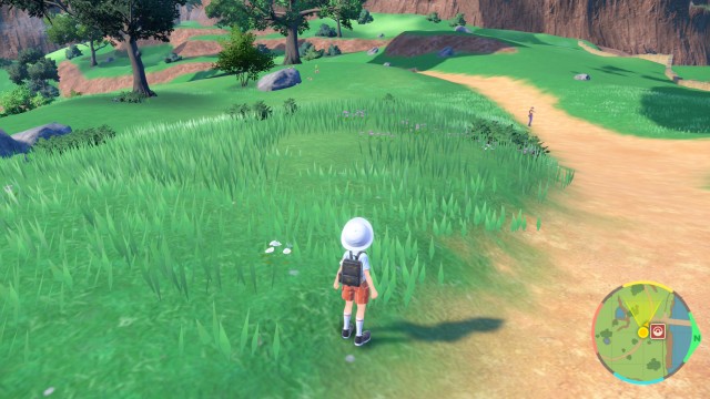 Screenshot: Pokémon Karmesin sieht auf der Switch deutlich besser aus als auf dem Vorgänger. Alle Unschönheiten werden nicht beseitigt, wie die arg begrenzte Weitsicht beim Gras.
